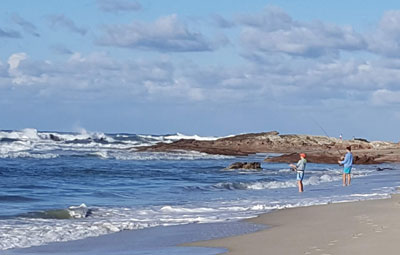 are dogs allowed on stradbroke island